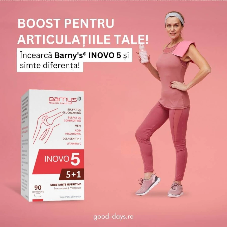 Barny's Inovo 5, 90 comprimés, Good Days Therapy, complément alimentaire actif et complexe pour les articulations, les cartilages et les capsules articulaires