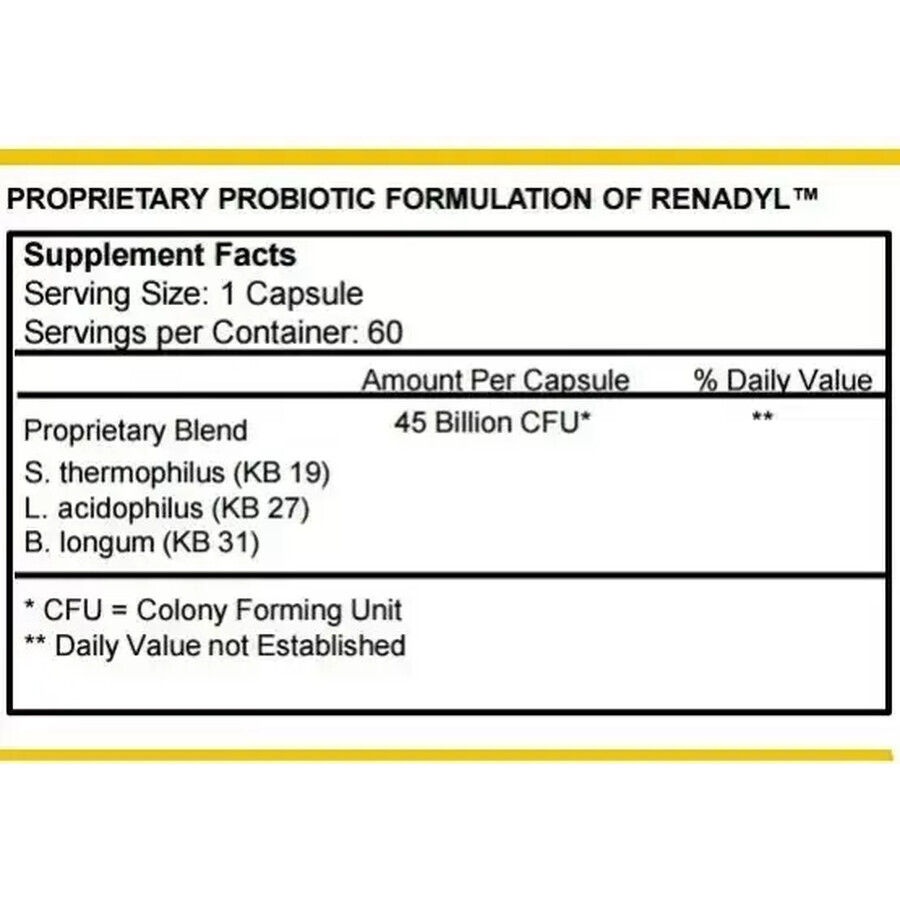 Renadyl, 60 gélules, Kibow