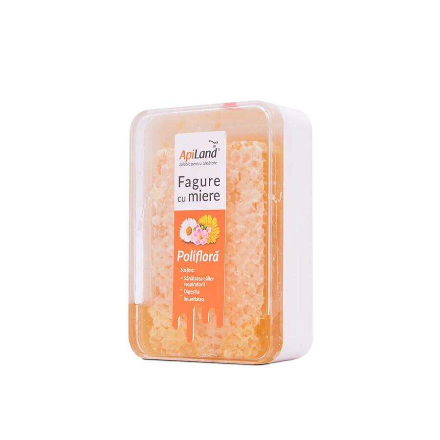 Honeycomb, 200 g, Apiland