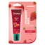 Bálsamo labial hidratante Bálsamo labial con brillo de fresa, 10 g, Himalaya