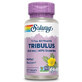 Tribulus Fruit Extract, 450mg, 60 vegetable capsules, Solaray
