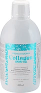 Aronia Charlottenburg Colágeno Premium 10.000 mg, 500 ml