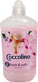 Coccolino