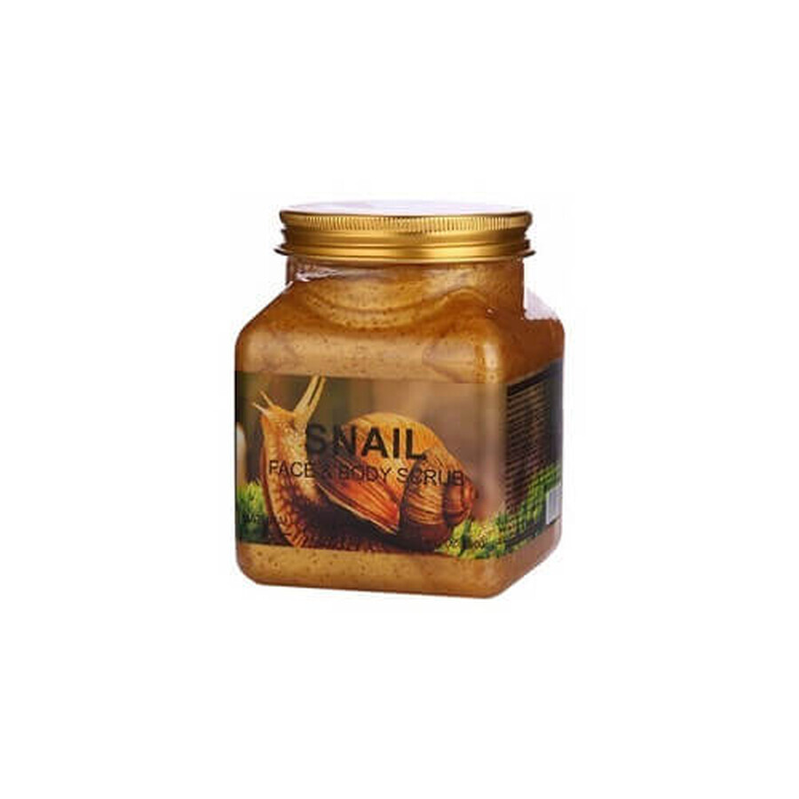 Boutique Exfoliant naturel pour le visage et le corps à l'extrait d'escargot, Wokali, Escargot, 350 ml Exfoliant naturel pour le visage et le corps à l'extrait d'escargot, Wokali, Escargot, 350 ml
