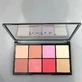 Technic Tropical Paradise Blush Blush Highlight Highlight Palette