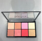 Technic Tropical Paradise Blush Highlight Palette blush and highlighter palette