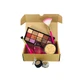 Set de regalo de maquillaje Technic Peanut, 6 productos