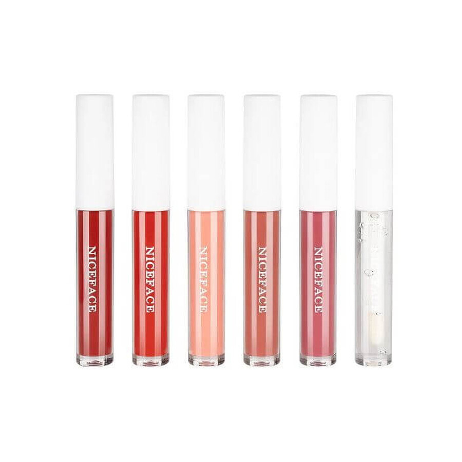 Niceface Lipolie Matte Lipstick Set van 6