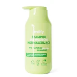 Holify Haar normalisierendes Shampoo, 300ml