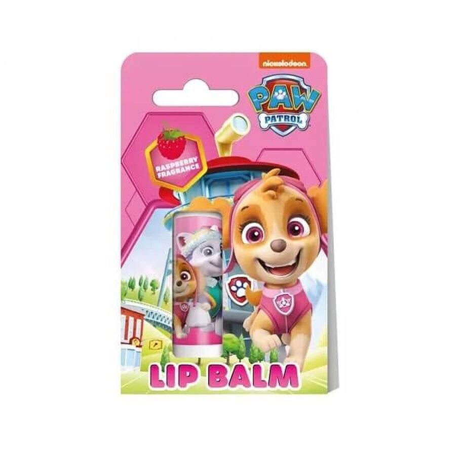 Winkel op Air-Val Psi Psi Patrol Framboos Lippenbalsem, 4.4g Air-Val Psi Psi Patrol Framboos Lippenbalsem, 4.4g