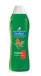 Champ&#250; familiar, aloe vera, 1l