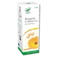 Pro Natura Propolis- und Ringelblumenspray, 100 ml