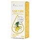 Fragrance oil Vera Nord Ylang Ylang, 12ml