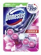 Domestos, suspensi&#243;n de conchas, Magnolia, 1 ud.