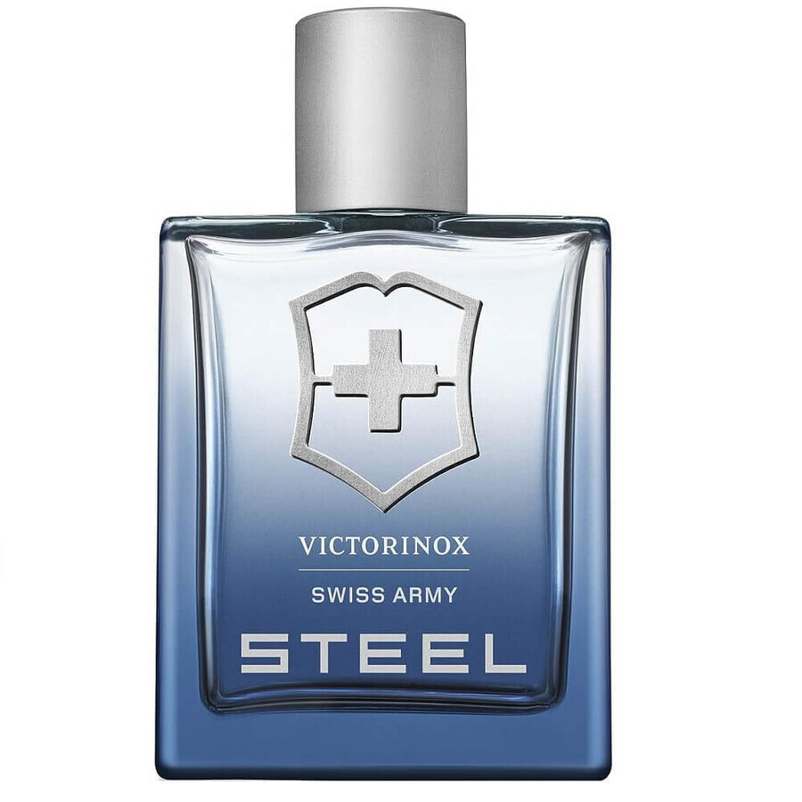 Acquista Victorinox Swiss Army Acqua da toilette in acciaio, 100 ml Victorinox Swiss Army Acqua da toilette in acciaio, 100 ml