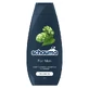 Schauma Men, Hop wax shampoo 400 ml