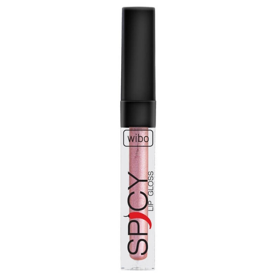 Rouge à lèvres épicé Wibo 1, 3ml