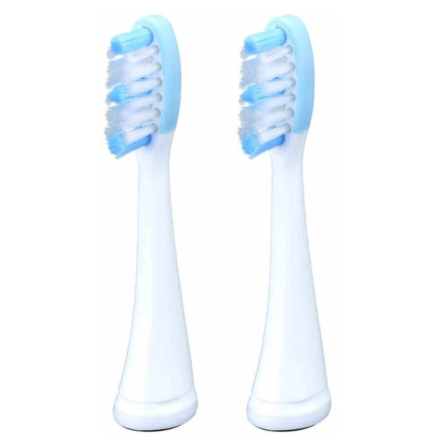 Winkel op Panasonic, WEW0929 Vervangende tongreinigingspads, 2 stuks Panasonic, WEW0929 Vervangende tongreinigingspads, 2 stuks