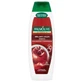 Palmolive, Brillante Farbe, Shampoo, 350ml