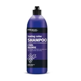 Chantal Prosalon Toning Shampoo für blondes, gebleichtes und graues Haar, 500g
