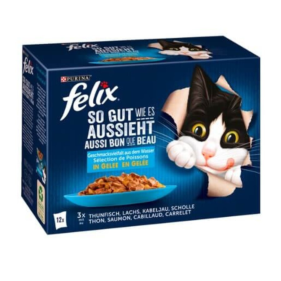 Acquista Felix, Cibo umido per gatti, miscela, 12 bustine Felix, Cibo umido per gatti, miscela, 12 bustine