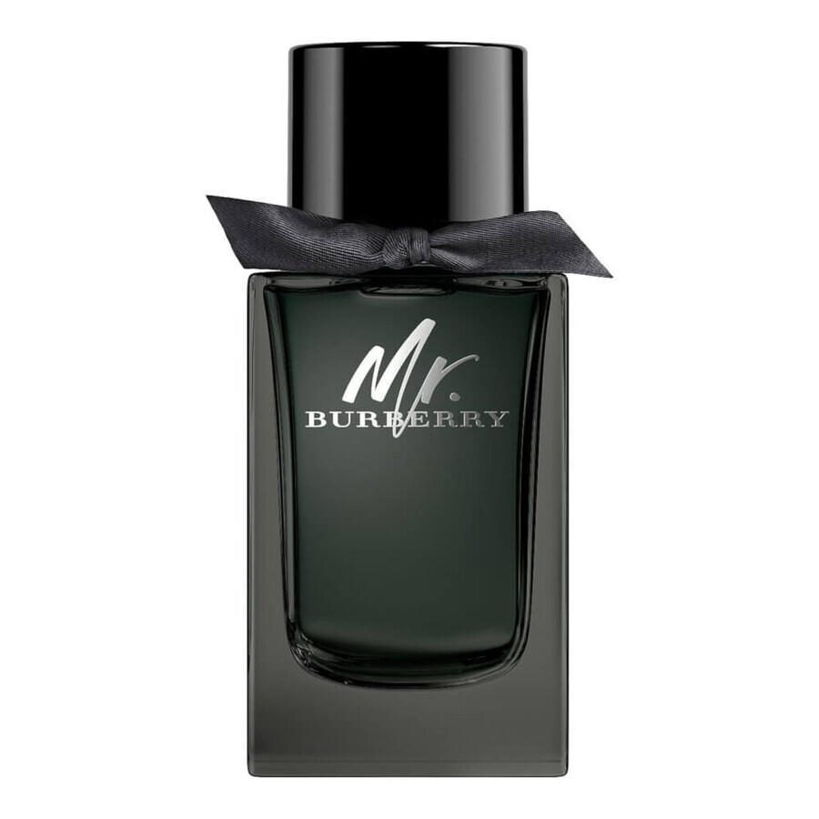 Burberry Mr.Burberry Apă de Parfum, 100ml