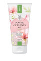 Lirene Power of plants Rose Exfoliating Moisturizing Scrub, 175g