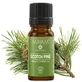 Huile essentielle de pin sauvage Bio M-1160, 10 ml, Mayam