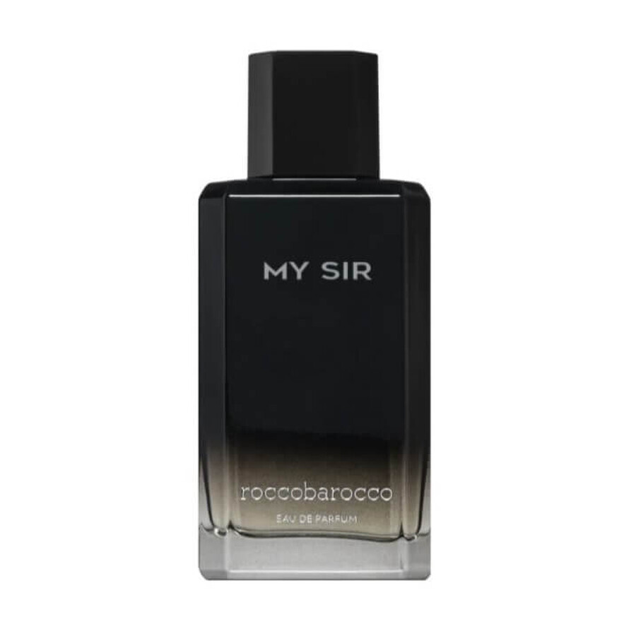 Roccobarocco My Sir Eau de Parfum, 100ml