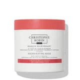 Christophe Robin Mask for dry and damaged hair, 250ml