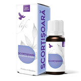 Kaneel hele essentiële olie, 10 ml, Bionovativ