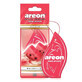 Areon Mon Watermelon car fridge