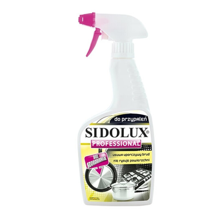 Sidolux Professional Gewürzreiniger, 500 ml