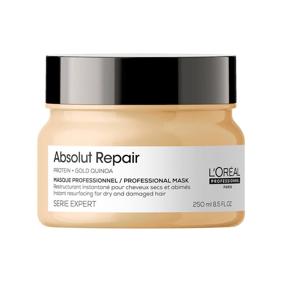 L'Oreal Professionnel Serie Expert Absolut Maschera rigenerante per capelli danneggiati, 250ml