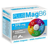 PlusMag B6 60 comprimidos