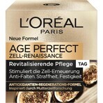 L Oréal, Anti-rimpel gezichtscrème met zwarte truffel en thee, SPF 15, 50ml L Oréal, Anti-rimpel gezichtscrème met zwarte truffel en thee, SPF 15, 50ml