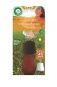 Air Wick Aromatischer Nebel Nachf&#252;llkartusche 20 ml