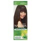 Joanna, Paint 222, Wild Chestnut