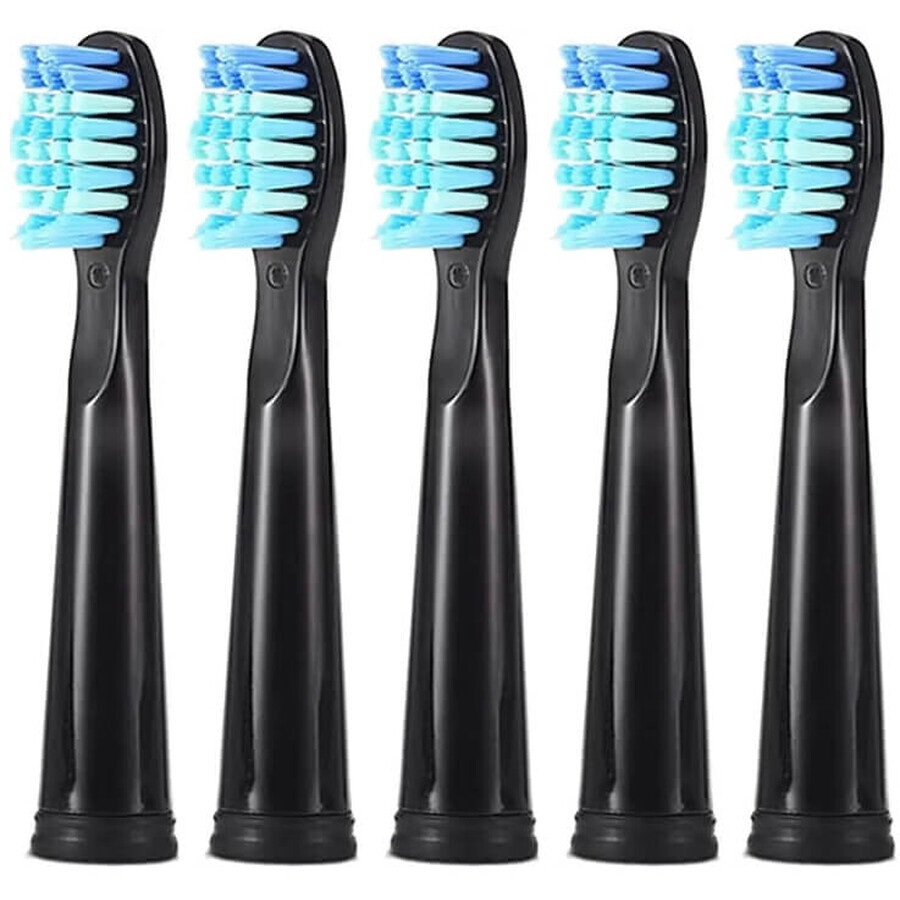 Teeteck, Portacepillos de dientes, 5 piezas
