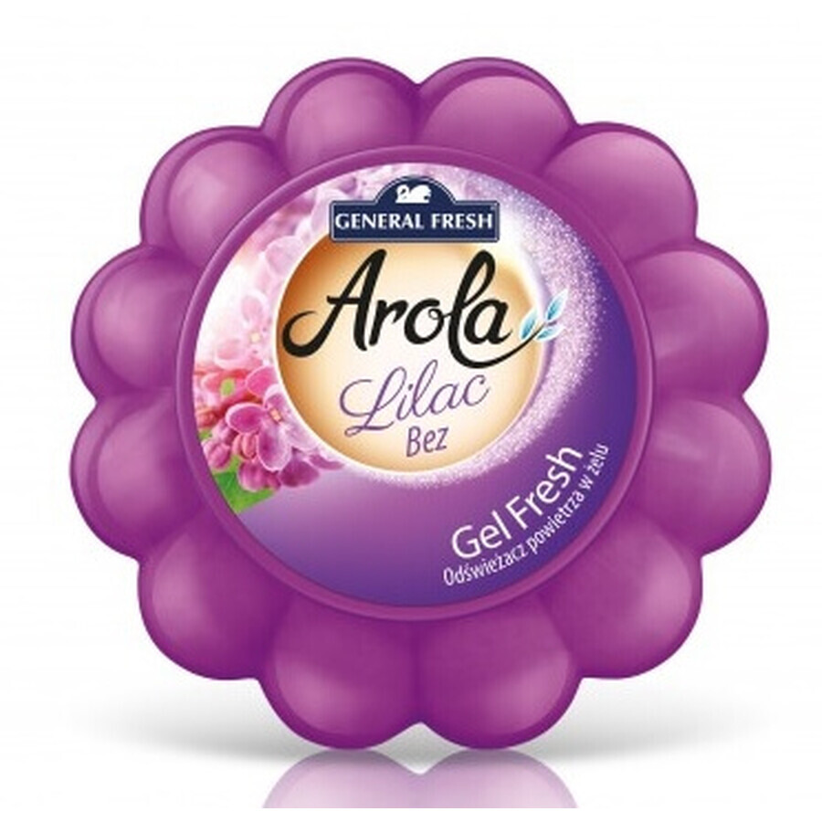 Acquista General Fresh, deodorante per ambienti, Lilla, 150g General Fresh, deodorante per ambienti, Lilla, 150g