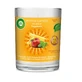 Air Wick Grote sierdop voor kaarsen 220 g