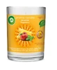 Air Wick Große dekorative Kappe für Kerzen 220 g