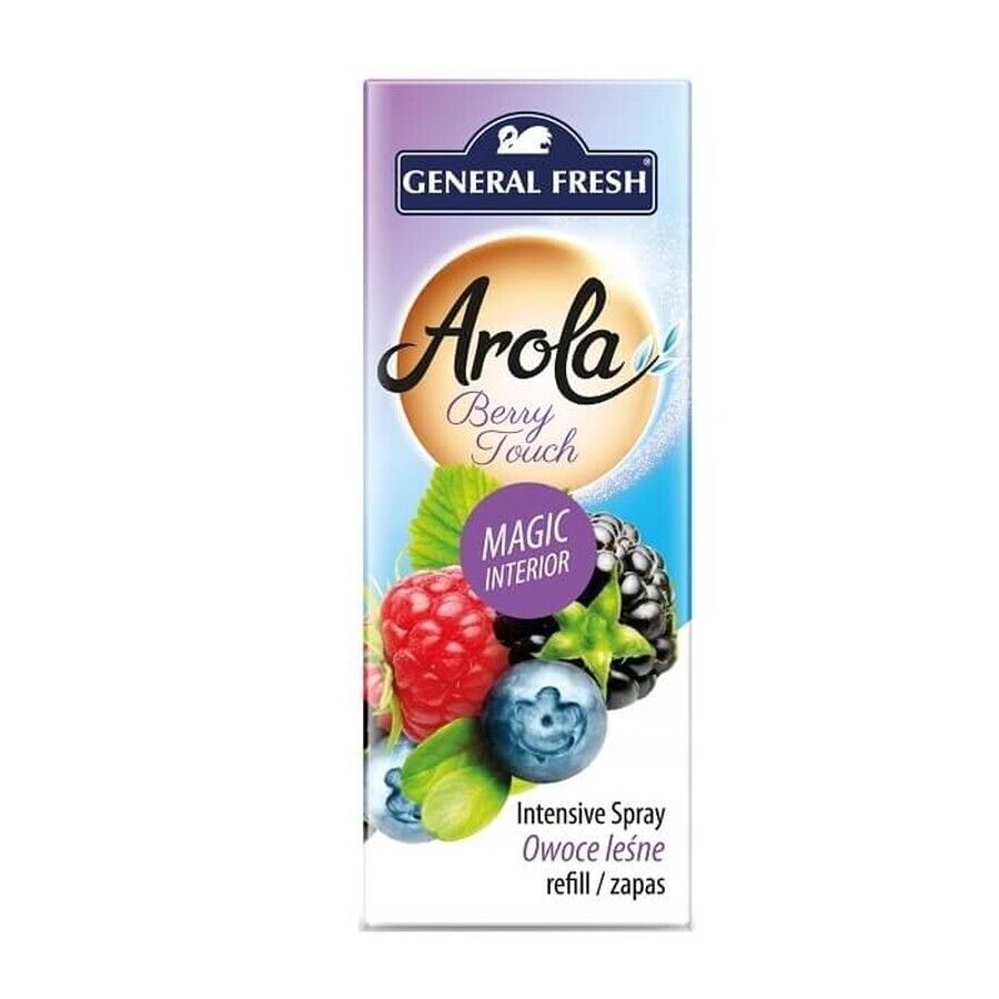 Cartuș odorizant de aer General Fresh Lene Fruit Cone, 40 ml