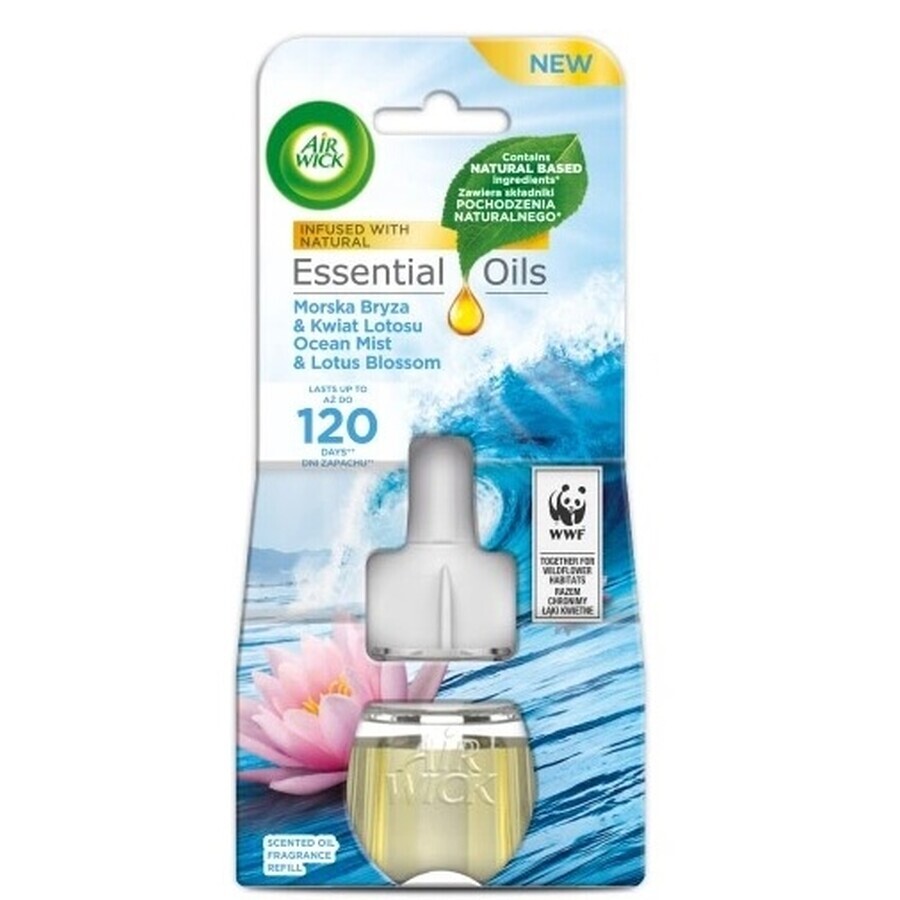 Air Wick rinfrescante elettrico per l'aria Brezza Marina e Lotus Cartuccia 19 ml