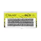 Natural Du2o Double Volume Picks Artificial Gene 12mm Natural Du2o Keyboard