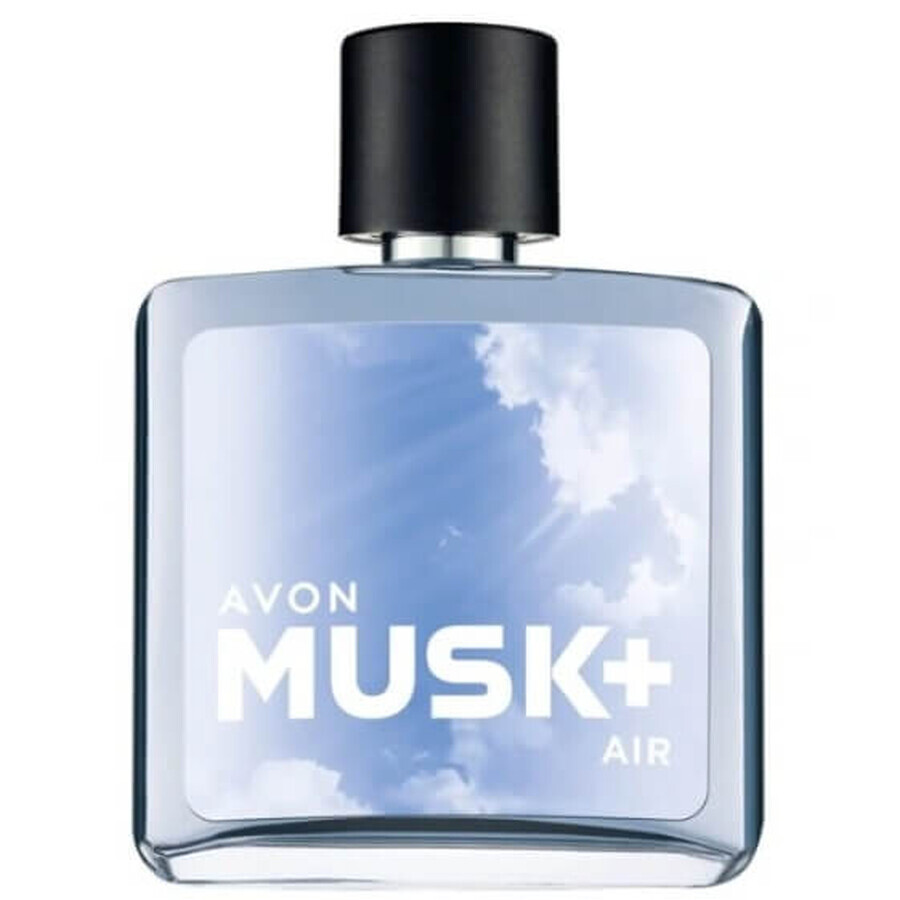 Avon Musk Air for Him Eau de Toilette, 75 ml
