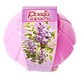 Poesia, Odwieacz w elu Ufo Lilac Blossom, 150g