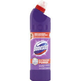 Domestos, Détergent pour toilettes à la lavande avec force étendue, 750 ml