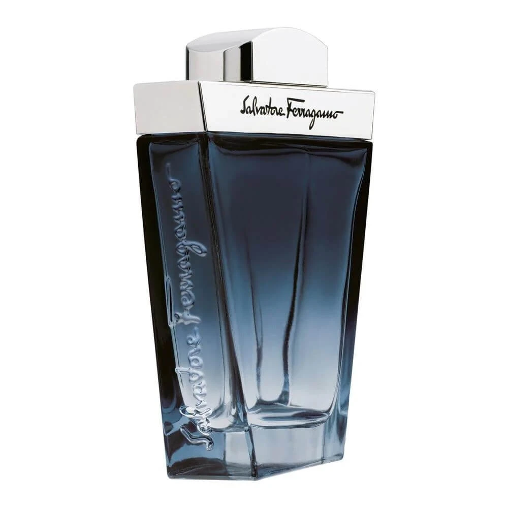 Salvatore Ferragamo Subtil Pour Homme Eau de toilette, 100ml