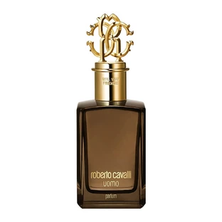 Perfume Roberto Cavalli Uomo, 100ml